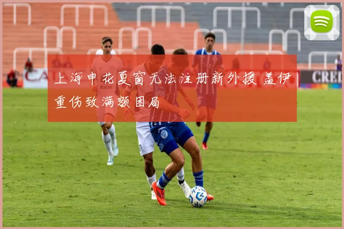 上海申花夏窗无法注册新外援 盖伊重伤致满额困局
