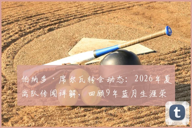 伯纳多·席尔瓦转会动态：2026年夏离队传闻详解，回顾9年蓝月生涯荣誉与影响，解析潜在下家